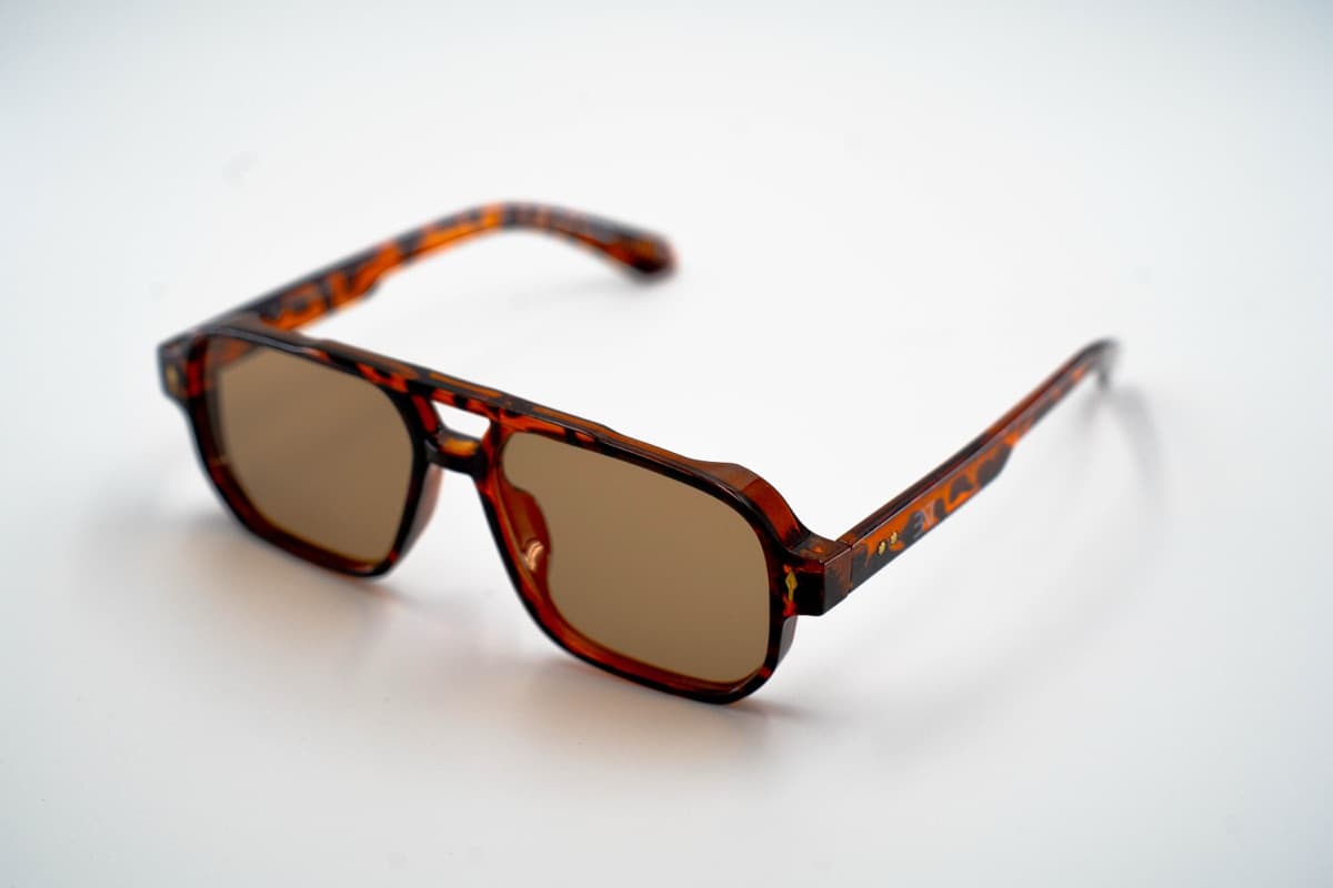 Fes Tortoise — autre vue